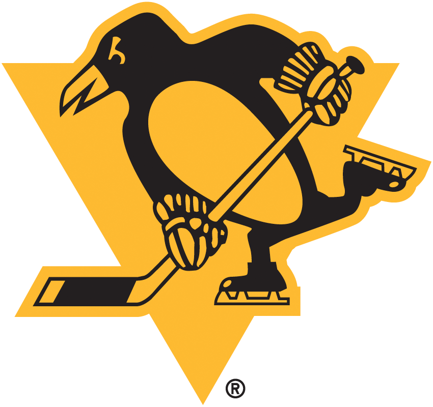 Pittsburgh Penguins 2019 Special Event Logo iron on transfers for clothing